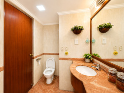 Hillbrooks (D23), Condominium #595723751